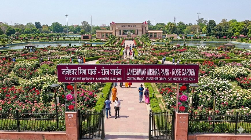 देश का दूसरा सबसे बड़ा रोज गार्डेन लखनऊ में शुरू: 2,269 प्रजातियों के 10,509 गुलाबों से सजा जनेश्वर मिश्र पार्क  ।