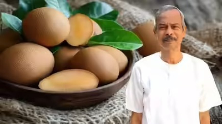 नौकरी छोड़ गांव लौटे, चीकू पर प्रयोग कर बन गए करोड़पति, महिलाओं को रोजगार देकर गांव में क्रांति लाई।