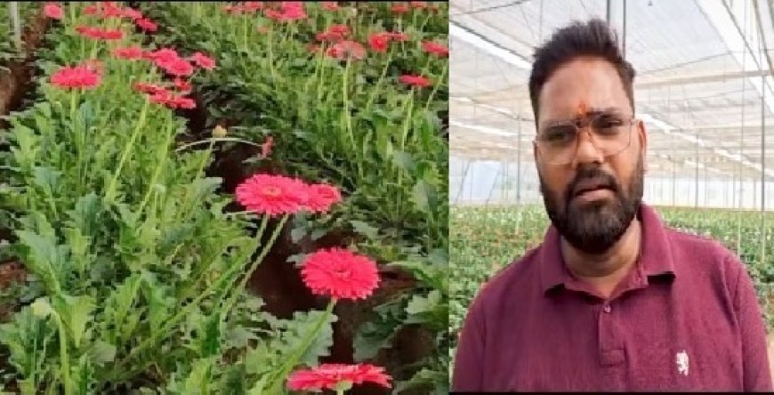 सरकारी योजना बनी सहारा: बाराबंकी के युवा किसान नीरज पटेल ने जरबेरा की खेती से लिखी सफलता की कहानी।