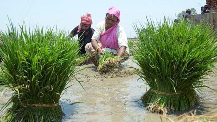 Lucknow : कृषि विभाग में ई-ऑफिस प्रणाली को प्रभावी बनाने के लिए सरकार ने 5.56 करोड़ रुपये की वित्तीय स्वीकृति की जारी