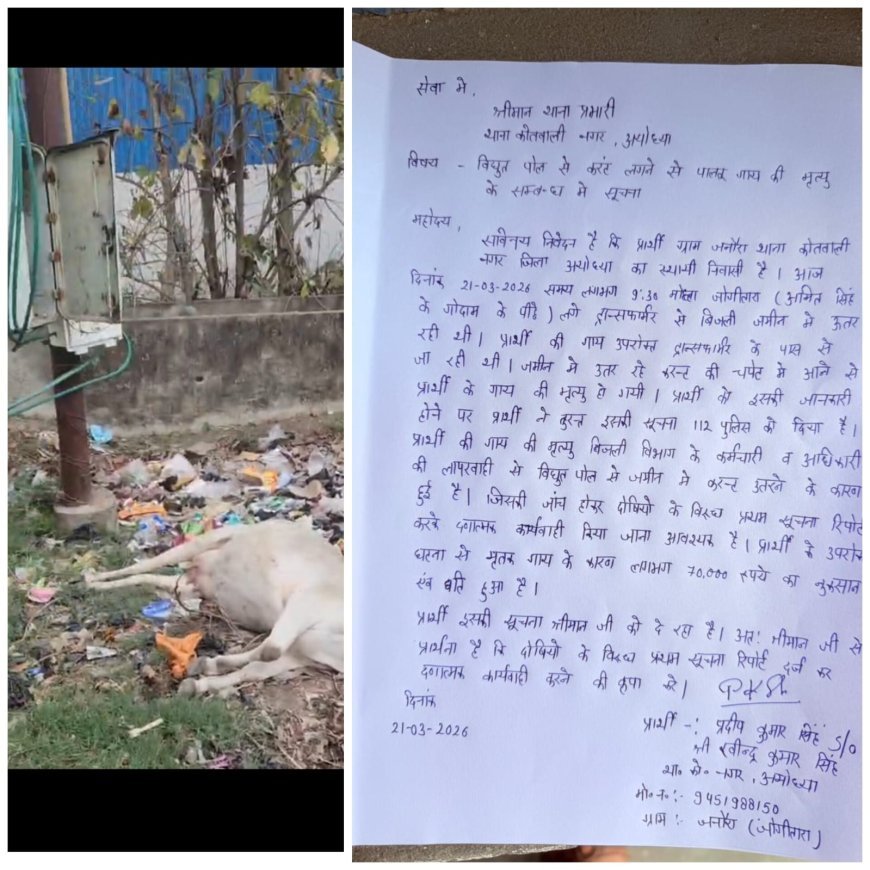 Ayodhya : बिजली पोल से करंट उतरने से गाय की मौत, लापरवाही पर महंत संत दास ने मांगी जांच और एफआईआर