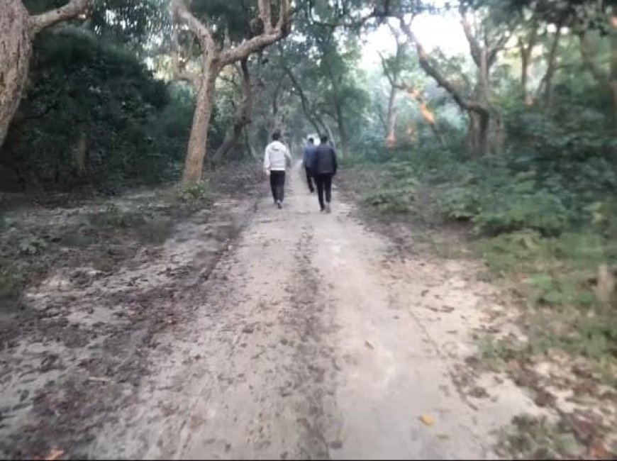 Sitapur : राष्ट्रीय वन दिवस पर चिंता - वनों की कटाई से पर्यावरण और जीवन खतरे में