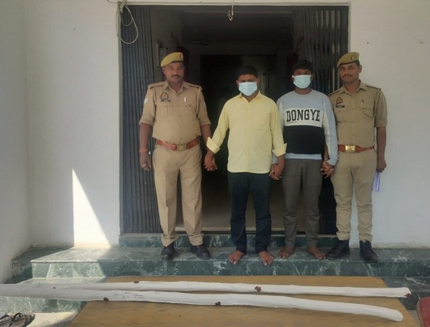 Hardoi: कछौना पुलिस ने मारपीट मामले में दो आरोपियों को किया गिरफ्तार, लाठी-डंडा बरामद।