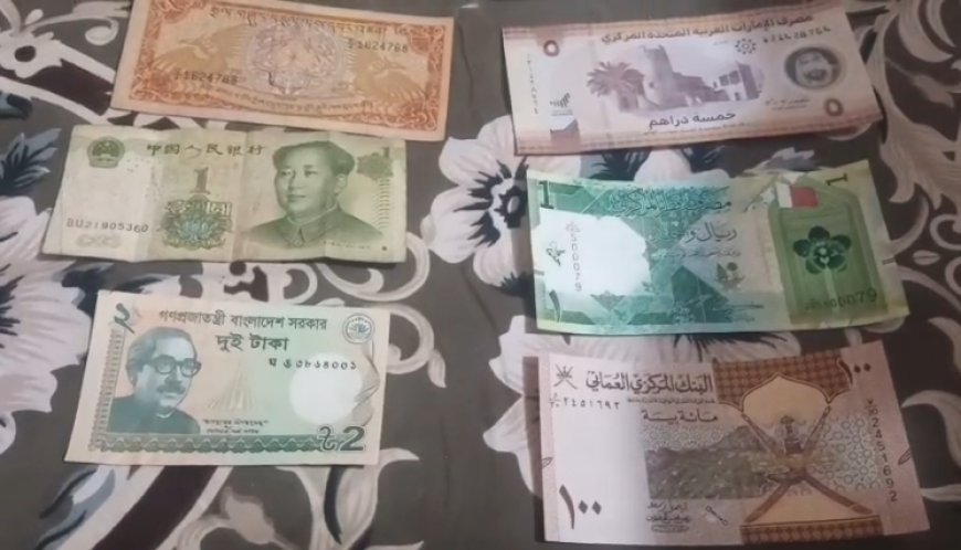 Sambhal : पान की दुकान से शुरू हुआ शौक बना अनोखी पहचान, रफीक ने जुटाए 20 देशों के नोट-सिक्के