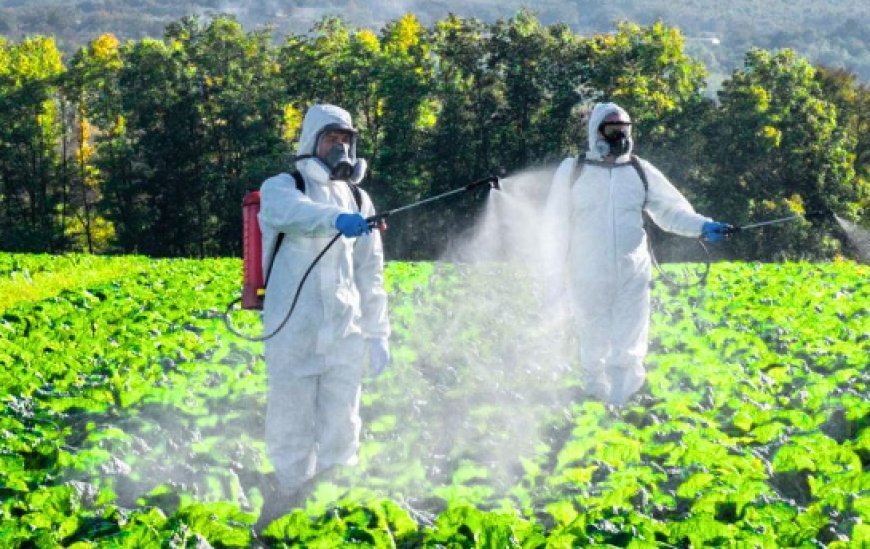 Hardoi: पैराक्वेंट के प्रयोग में बरतें सावधानी, किसानों को सुरक्षित विकल्प अपनाने की सलाह। 