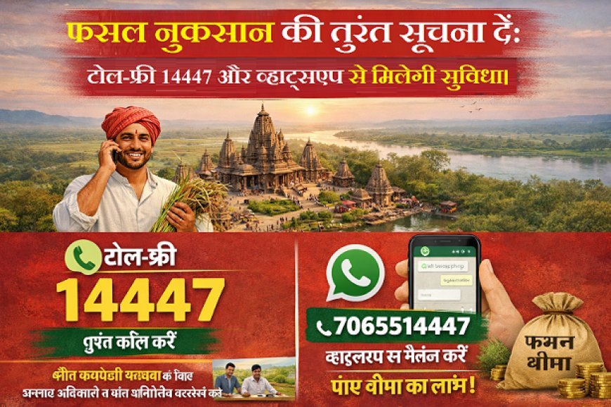 Lucknow: फसल नुकसान की तुरंत सूचना दें: टोल-फ्री 14447 और व्हाट्सएप से मिलेगी सुविधा।