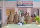 Hathras : रंजिश में ट्रैक्टर से कुचलकर पालतू कुत्ते को मारा, सीसीटीवी में कैद हुई वारदात