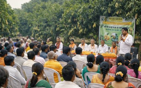 Lucknow : मलिहाबाद में कवच आम सभा का आयोजन, फ्रूट प्रोटेक्शन बैग बना आकर्षण का केंद्र