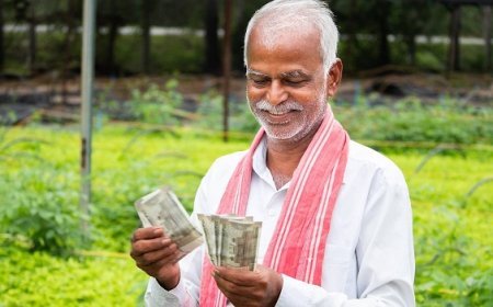 पीएम किसान योजना की 23वीं किस्त: करोड़ों किसानों के लिए बड़ी खुशखबरी, जानें कब खाते में आएंगे 2000 रुपये, ऐसे करें चेक।