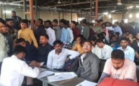 Lucknow : अलीगंज आईटीआई में मारुति सुजुकी ने किया रोजगार मेले का आयोजन, 270 युवाओं को मिली नौकरी