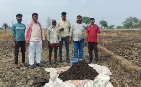 Hardoi : हाईटेंशन तार टूटने से लगी आग, किसानों की गेहूं की फसल जलकर राख