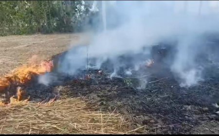 Sitapur : बिजली की चिंगारी और बेमौसम बारिश ने छीना किसानों का निवाला, जली गेहूं की फसल