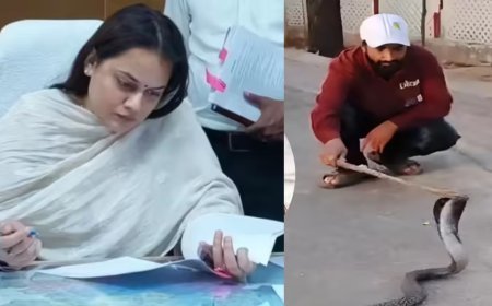 टोंक कलेक्टर टीना डाबी के सरकारी आवास में कोबरा की दस्तक: 5 फीट लंबे जहरीले सांप के निकलने से मचा हड़कंप, सुरक्षाकर्मियों में मची अफरा-तफरी।
