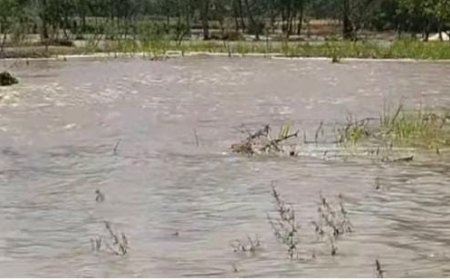 Sitapur : सीतापुर में शारदा नहर फटने से सैकड़ों बीघा फसल डूबी, किसानों का भारी नुकसान