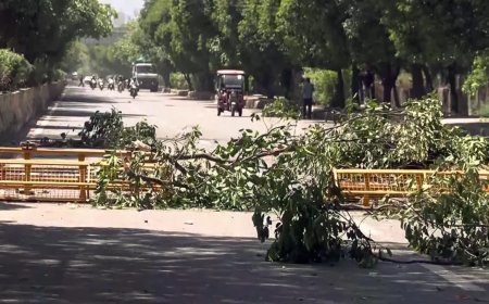 Noida Update : नोएडा और ग्रेटर नोएडा में हिंसा को लेकर आदेश जारी, 14 अप्रैल को सभी इकाइयां रहेंगी बंद, मुख्यमंत्री की कमेटी का बड़ा निर्णय