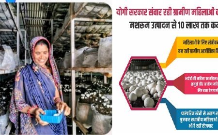 Lucknow: योगी सरकार संवार रही ग्रामीण महिलाओं का जीवन, मशरूम उत्पादन से 10 लाख तक कमाई। 