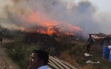 हमीरपुर में भीषण अग्निकांड: दो पोल्ट्री फार्म जलकर राख, आग की लपटों में जिंदा जल गए 4 हजार मुर्गे।