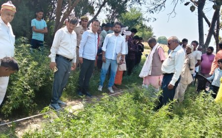 Gonda : 200 चकमार्गों से हटा अवैध कब्जा, जिलाधिकारी के निर्देश पर प्रशासन का बुलडोजर अभियान तेज