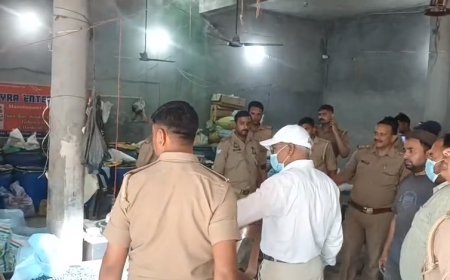 Sambhal: आबादी के बीच चल रहा था ‘सींग फैक्ट्री’ का खेल, सिटी मजिस्ट्रेट की छापेमारी में खुलासा। 