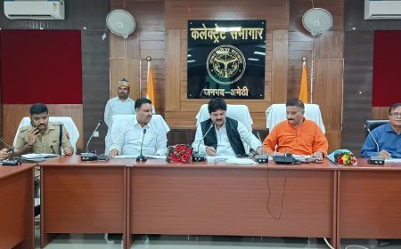 Amethi : गौ संरक्षण व्यवस्थाओं की समीक्षा, निराश्रित गोवंश की देखरेख के लिए दिए निर्देश