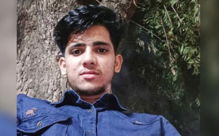 IRS अधिकारी की बेटी से दरिंदगी: नशा और वीडियो गेम की लत ने बनाया अपराधी, पुलिस जांच में चौंकाने वाले खुलासे।