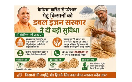 Lucknow : खराब मौसम की मार झेल रहे किसानों को सरकार की बड़ी राहत, बिना कटौती खरीदा जाएगा चमकविहीन और सिकुड़ा गेहूं