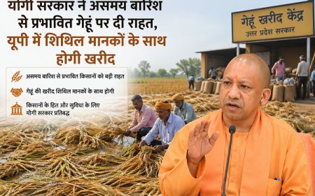 योगी सरकार ने असमय बारिश से प्रभावित गेहूं पर दी राहत, यूपी में शिथिल मानकों के साथ होगी खरीद।