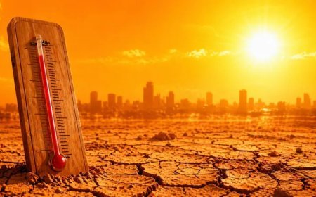 आसमान से बरसेगी आग: पश्चिमी उत्तर प्रदेश से लेकर पूर्वांचल तक लू का कहर, जानें कब मिलेगी चिलचिलाती गर्मी से राहत।