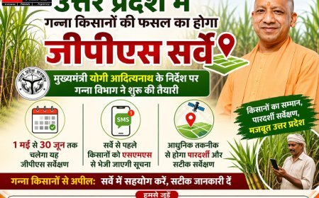 Lucknow: उत्तर प्रदेश में गन्ना किसानों की फसल का होगा जीपीएस सर्वे, 1 मई से 30 जून तक चलेगा यह जीपीएस सर्वेक्षण। 