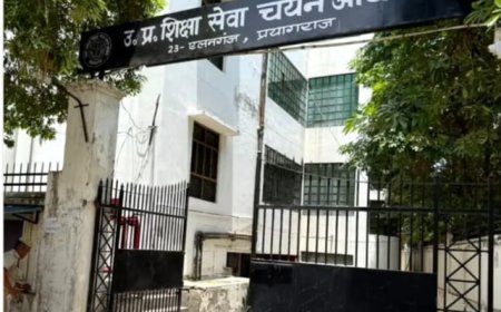 Prayagraj : इंटर पास शिक्षकों के लिए यूपीटीईटी 2026 में आवेदन का रास्ता साफ, चयन आयोग ने पोर्टल पर दिया नया विकल्प