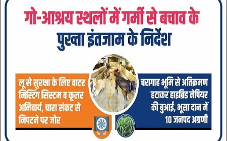 Lucknow: गो आश्रय स्थलों में हीट एक्शन प्लान लागू: मिस्टिंग सिस्टम, कूलर अनिवार्य; चारा प्रबंधन पर सख्त निर्देश। 