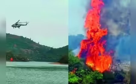 नीलगिरी के जंगलों में 10 दिनों से धधक रही भीषण आग, 5000 एकड़ वन क्षेत्र हुआ खाक, वन्यजीवों पर मंडराया संकट