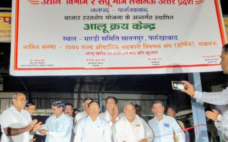 Lucknow : आलू किसानों को राहत: लखनऊ और फर्रुखाबाद में खरीद शुरू, 10 जिलों में खुलेंगे क्रय केंद्र