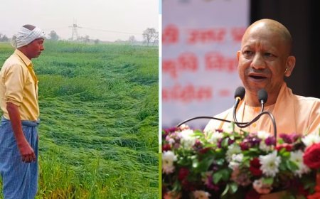 Lucknow : मुख्यमंत्री योगी आदित्यनाथ ने बेमौसम बारिश और ओलावृष्टि से प्रभावित किसानों को दी बड़ी राहत