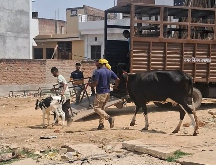 प्रयागराज में गौमांस की बिरयानी और कबाब बेचने का भंडाफोड़: पुलिस ने 4 आरोपियों को किया गिरफ्तार।