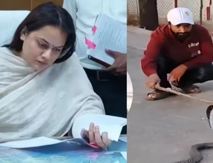 टोंक कलेक्टर टीना डाबी के सरकारी आवास में कोबरा की दस्तक: 5 फीट लंबे जहरीले सांप के निकलने से मचा हड़कंप, सुरक्षाकर्मियों में मची अफरा-तफरी।
