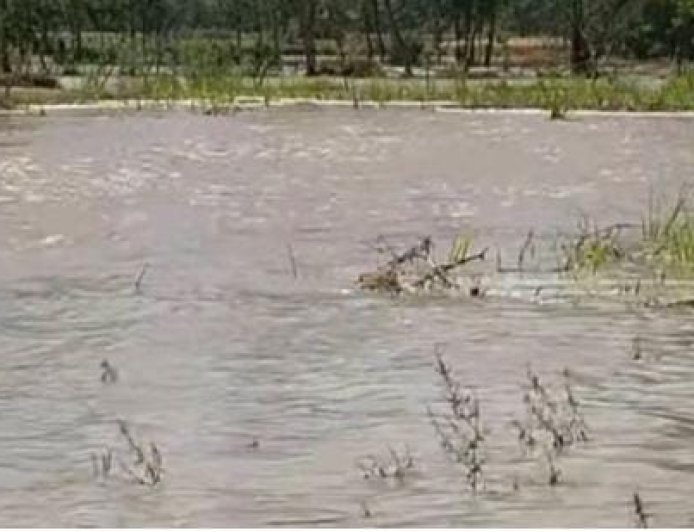 Sitapur : सीतापुर में शारदा नहर फटने से सैकड़ों बीघा फसल डूबी, किसानों का भारी नुकसान