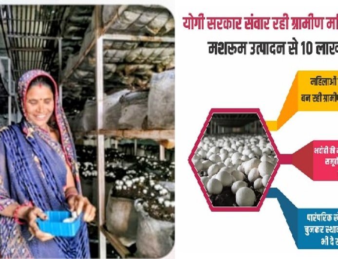 Lucknow: योगी सरकार संवार रही ग्रामीण महिलाओं का जीवन, मशरूम उत्पादन से 10 लाख तक कमाई। 