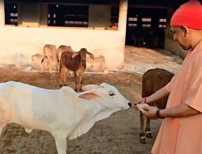 Lucknow : दुग्ध स्वर्ण महोत्सव-2026: योगी सरकार के विजन से डेयरी सेक्टर को नई रफ्तार