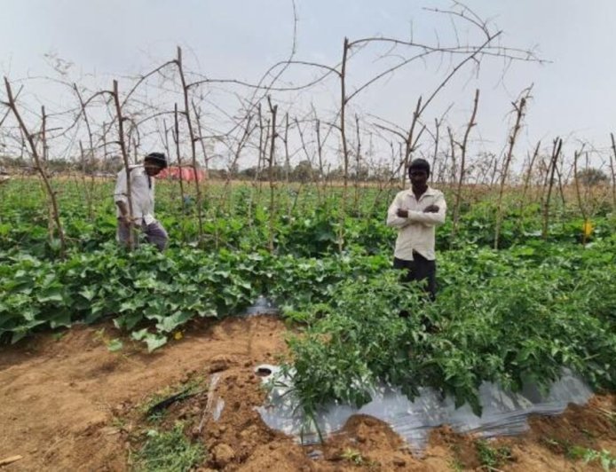 Ayodhya : दो एकड़ खेत में उगाईं कई फसलें, तकनीक और मेहनत से किसान शोभाराम ने पेश की नई मिसाल