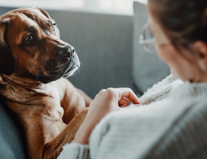 बरेली में खौफनाक वारदात: पहले बेजुबान पालतू कुत्ते को दिया जहर, फिर युवक ने खुद फांसी लगाकर दी जान।