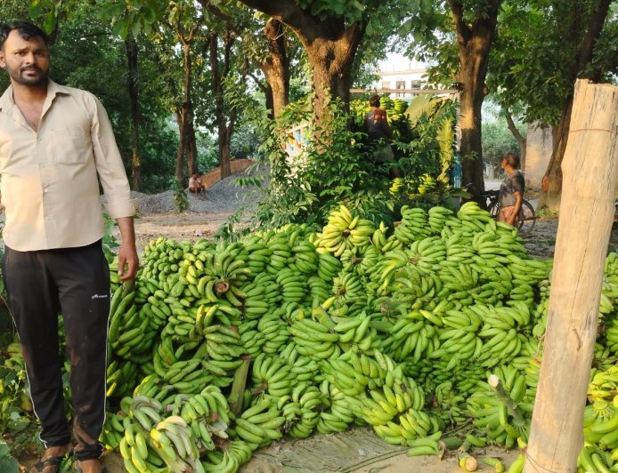 Amethi : पारंपरिक खेती छोड़ किसान प्रेम चंद्र ने केले की बागवानी से कमाया लाखों का मुनाफा