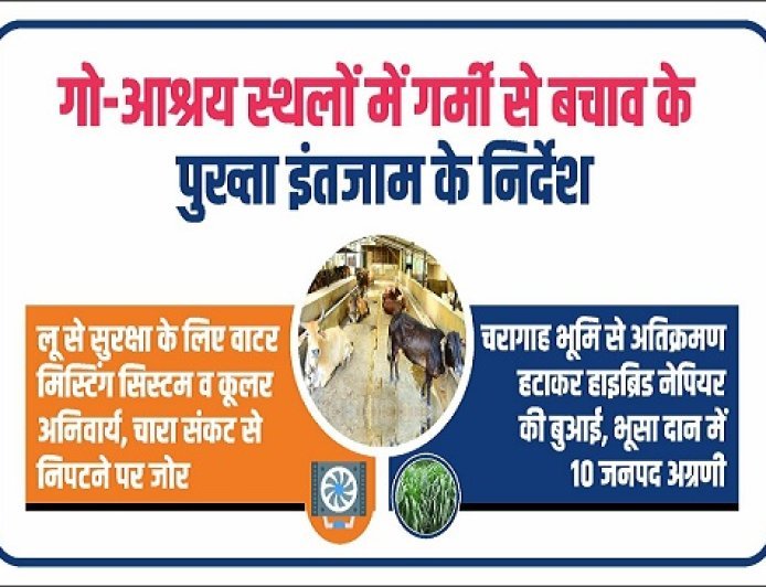 Lucknow: गो आश्रय स्थलों में हीट एक्शन प्लान लागू: मिस्टिंग सिस्टम, कूलर अनिवार्य; चारा प्रबंधन पर सख्त निर्देश। 