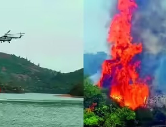 नीलगिरी के जंगलों में 10 दिनों से धधक रही भीषण आग, 5000 एकड़ वन क्षेत्र हुआ खाक, वन्यजीवों पर मंडराया संकट