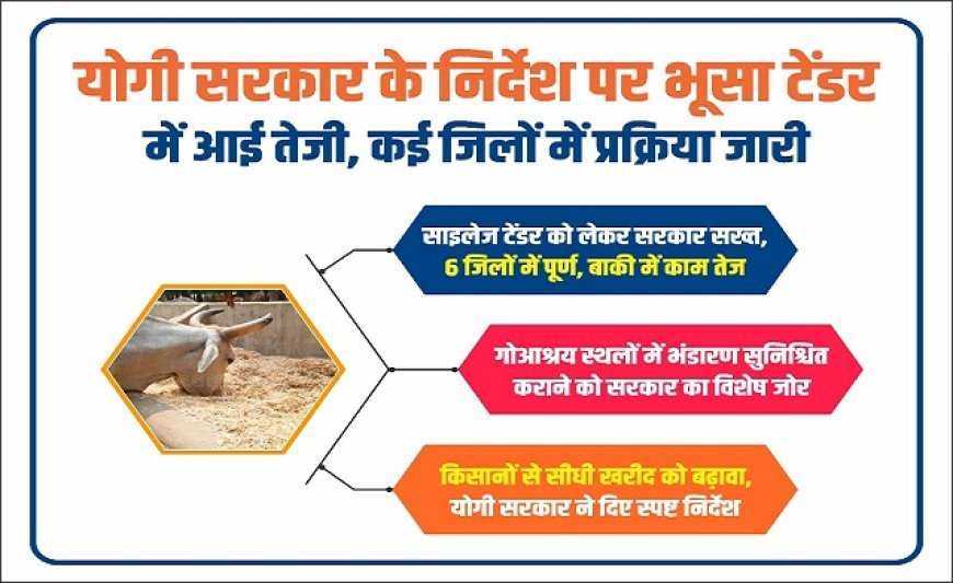Lucknow: योगी सरकार की सख्ती: भूसा-साइलेज टेंडर प्रक्रिया में आई तेजी, कई जिलों में काम तेज ।