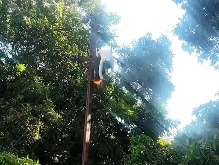 Sitapur : हाईटेंशन लाइन पर काम के दौरान करंट लगने से लाइनमैन की मौत, मुआवजे के आश्वासन पर शांत हुआ हंगामा