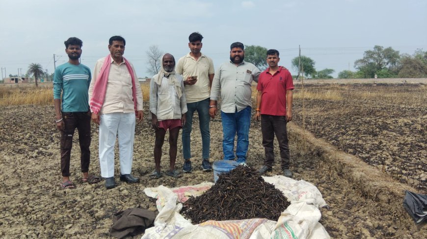 Hardoi : हाईटेंशन तार टूटने से लगी आग, किसानों की गेहूं की फसल जलकर राख