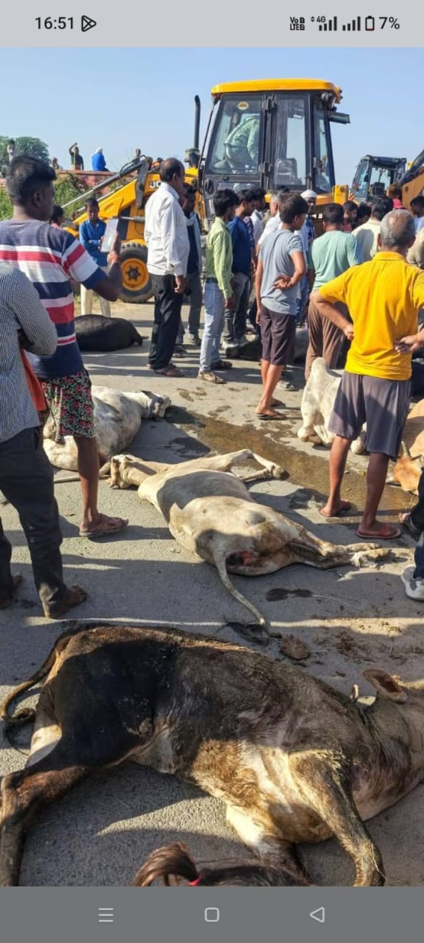 Prayagraj : मवेशियों से भरा ट्रक पलटने से सात की मौत, गोवंश तस्करी की आशंका