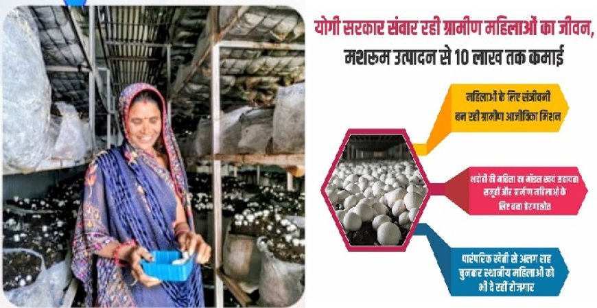 Lucknow: योगी सरकार संवार रही ग्रामीण महिलाओं का जीवन, मशरूम उत्पादन से 10 लाख तक कमाई। 