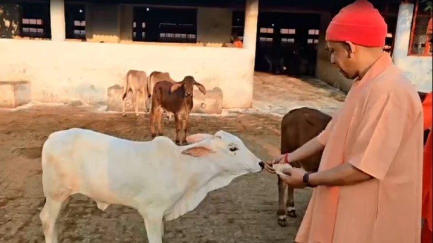 Lucknow : दुग्ध स्वर्ण महोत्सव-2026: योगी सरकार के विजन से डेयरी सेक्टर को नई रफ्तार